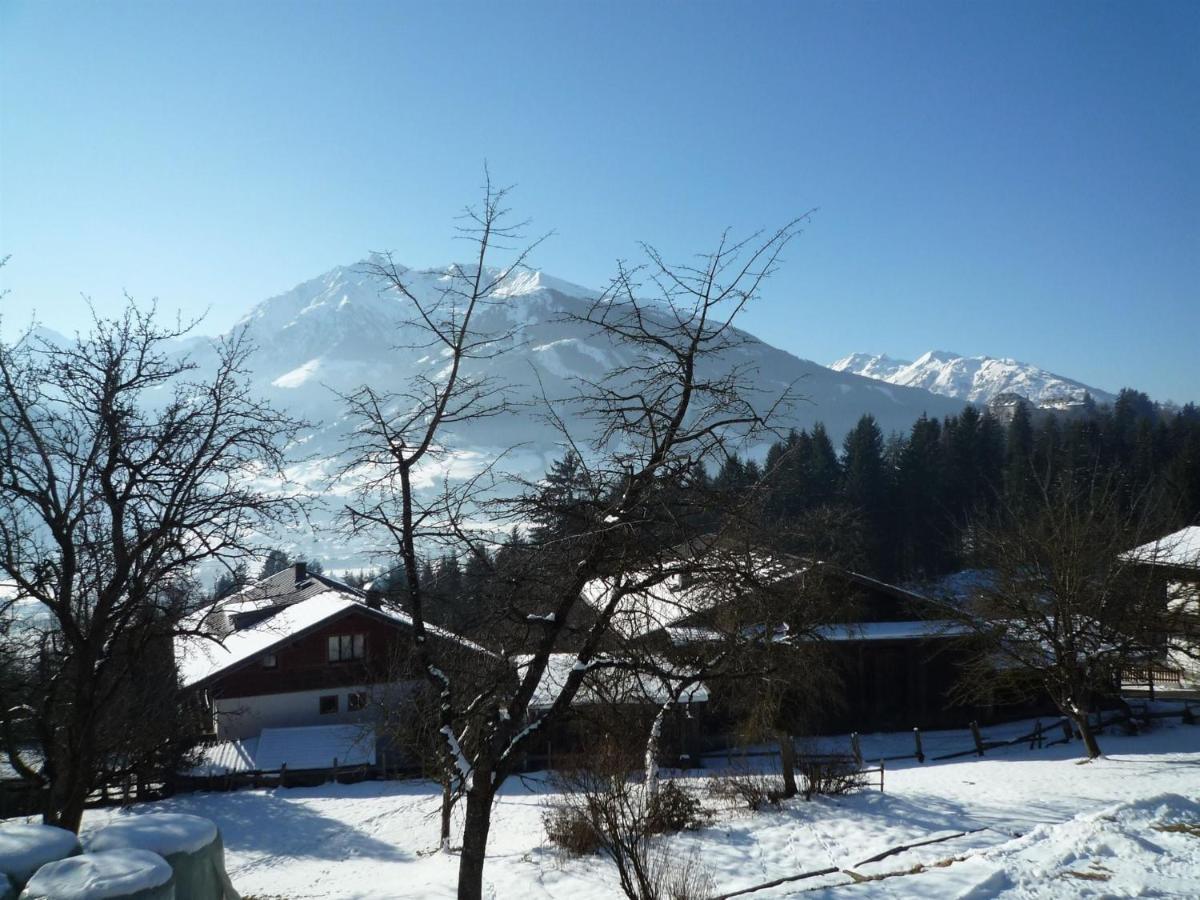 Spacious Apartment With Close To Skiing Points Mittersill Exteriör bild